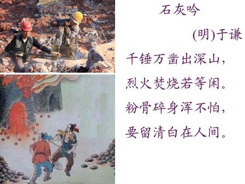 蛮荒小助手app下载